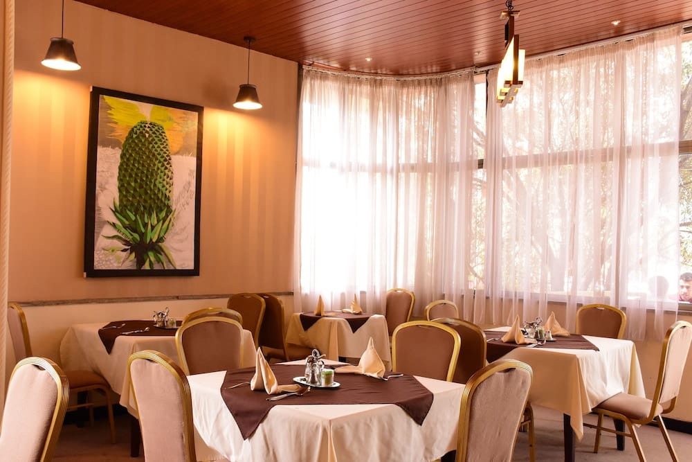 Hotel Lobelia — 4