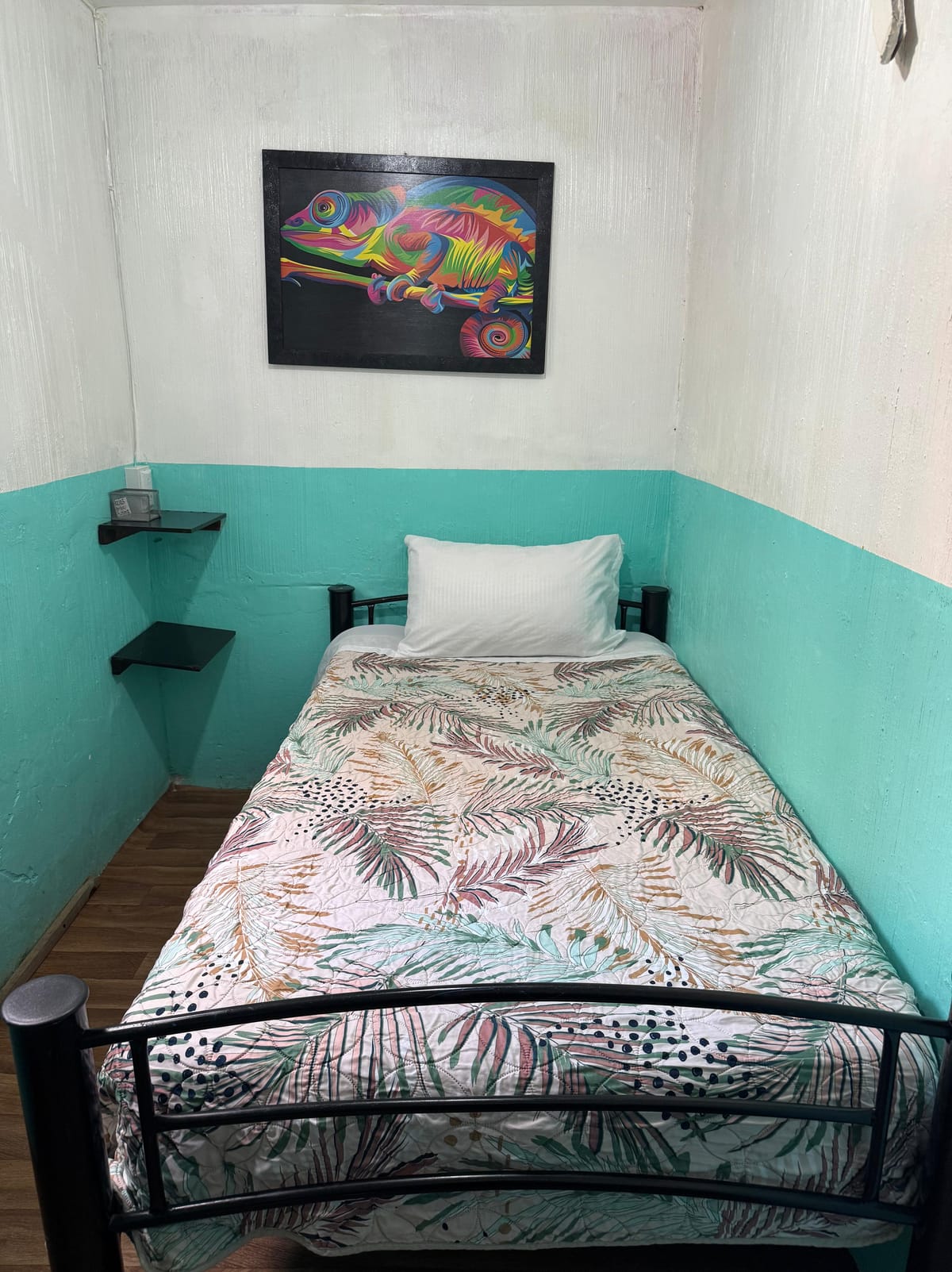 Aló México — 5