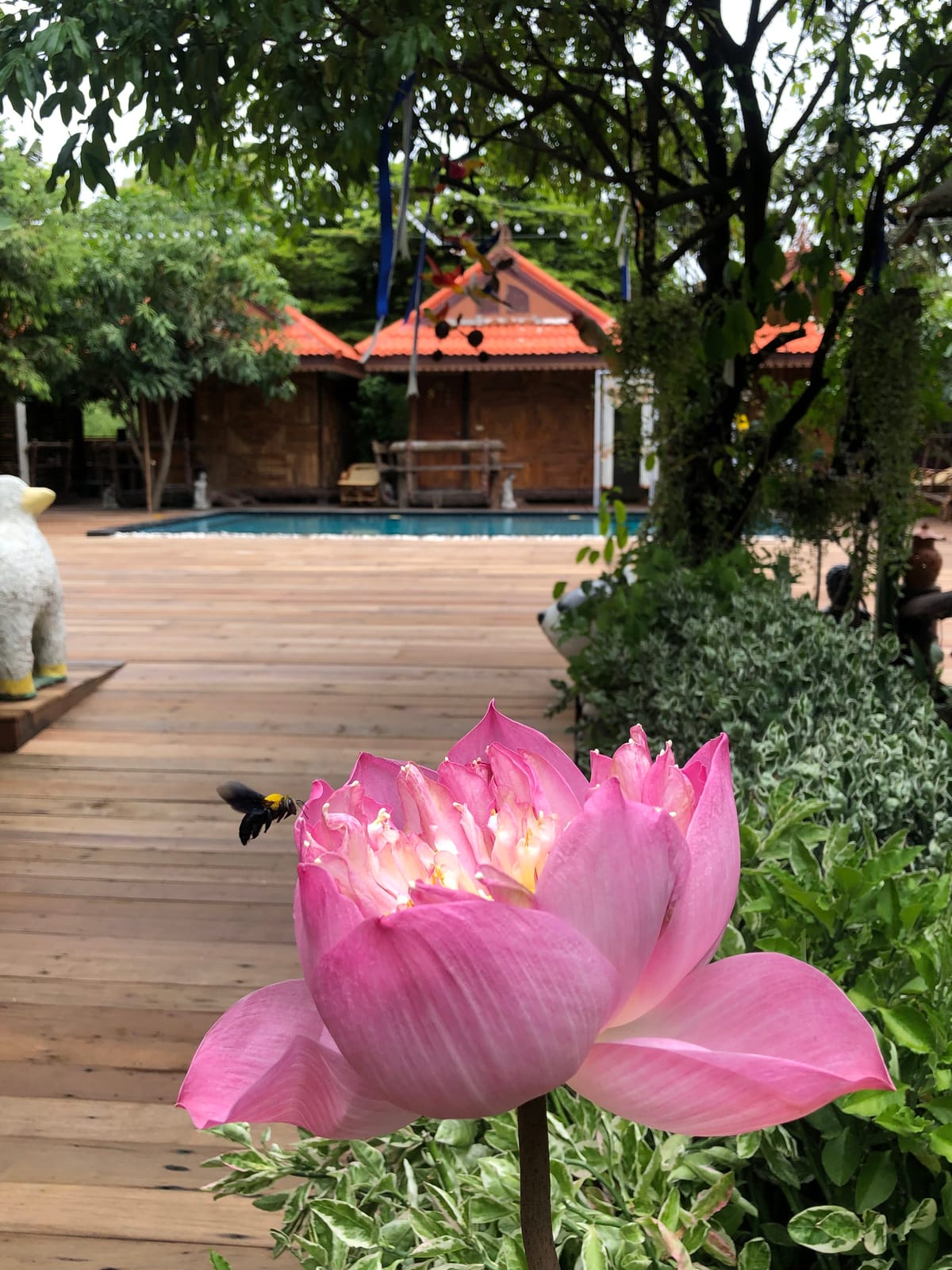 Montri Resort Don Mueang Bangkok — 5