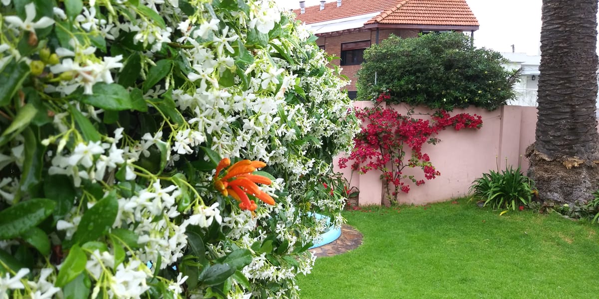 Bed and breakfast Familia San Martin — 2