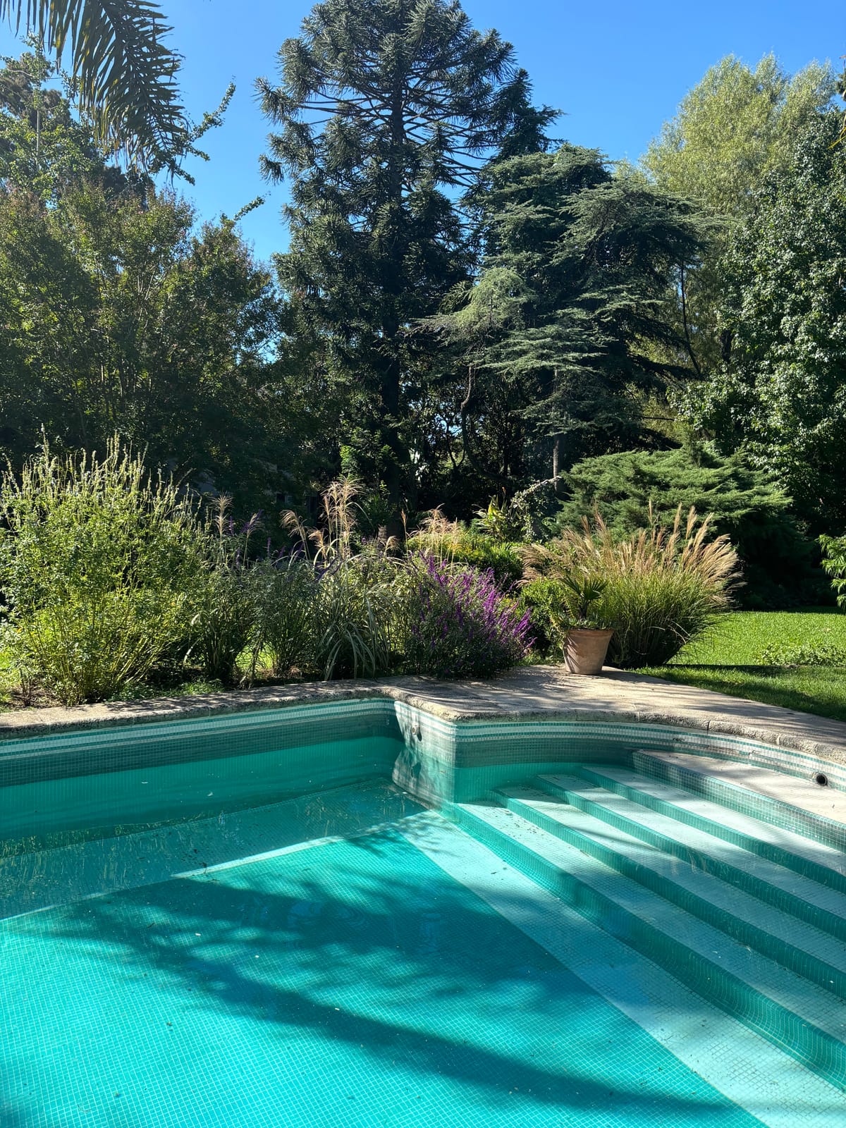 Loft Leloir, hospedaje Doble, Triple o Cuádruple. Naturaleza, polo gastronómico, circuito aerobico. — 1