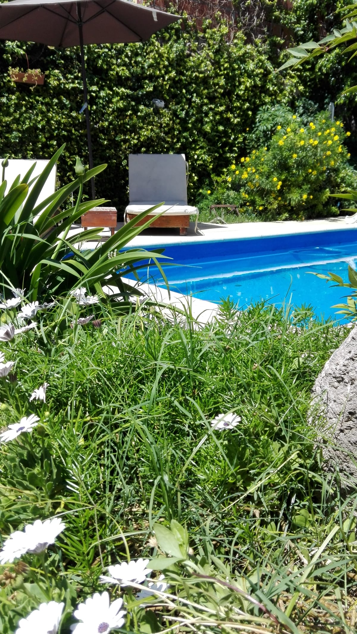Posada Villa Club — 3