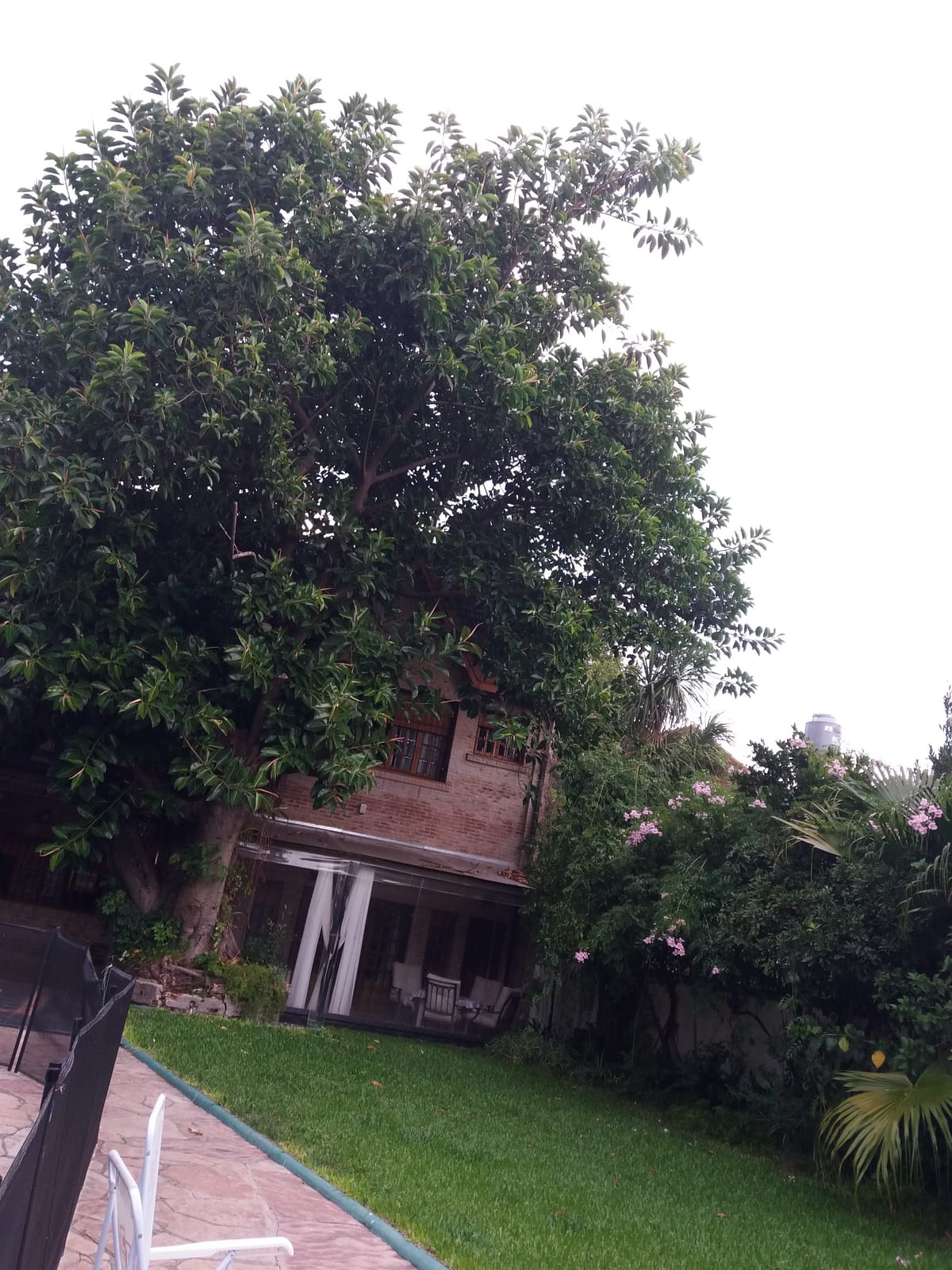 The Brick House — 3