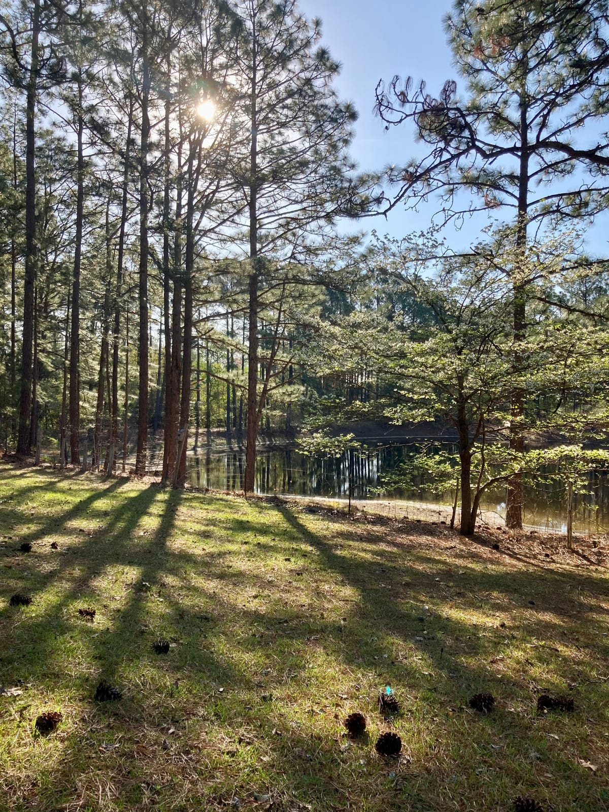 Spacious Skies Campgrounds - Sandy Run — 1