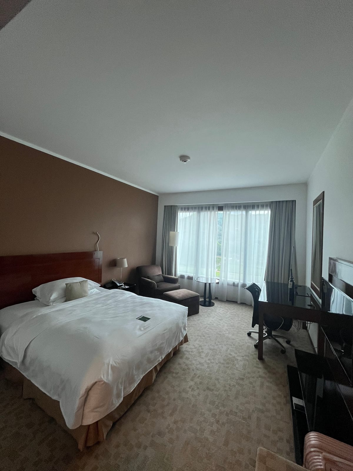 Headland Hotel — 4