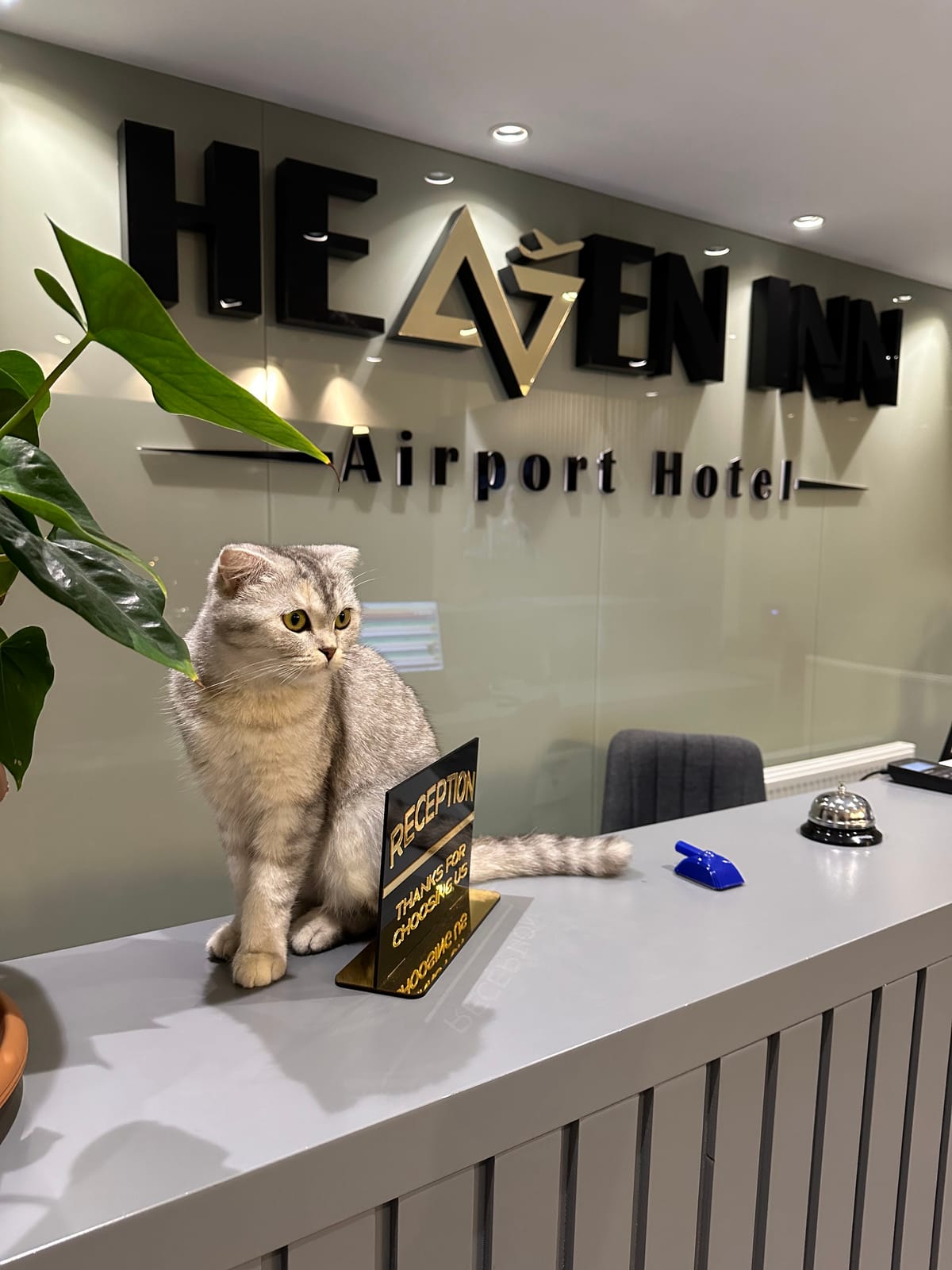 Heaven Inn Airport Hotel — 4