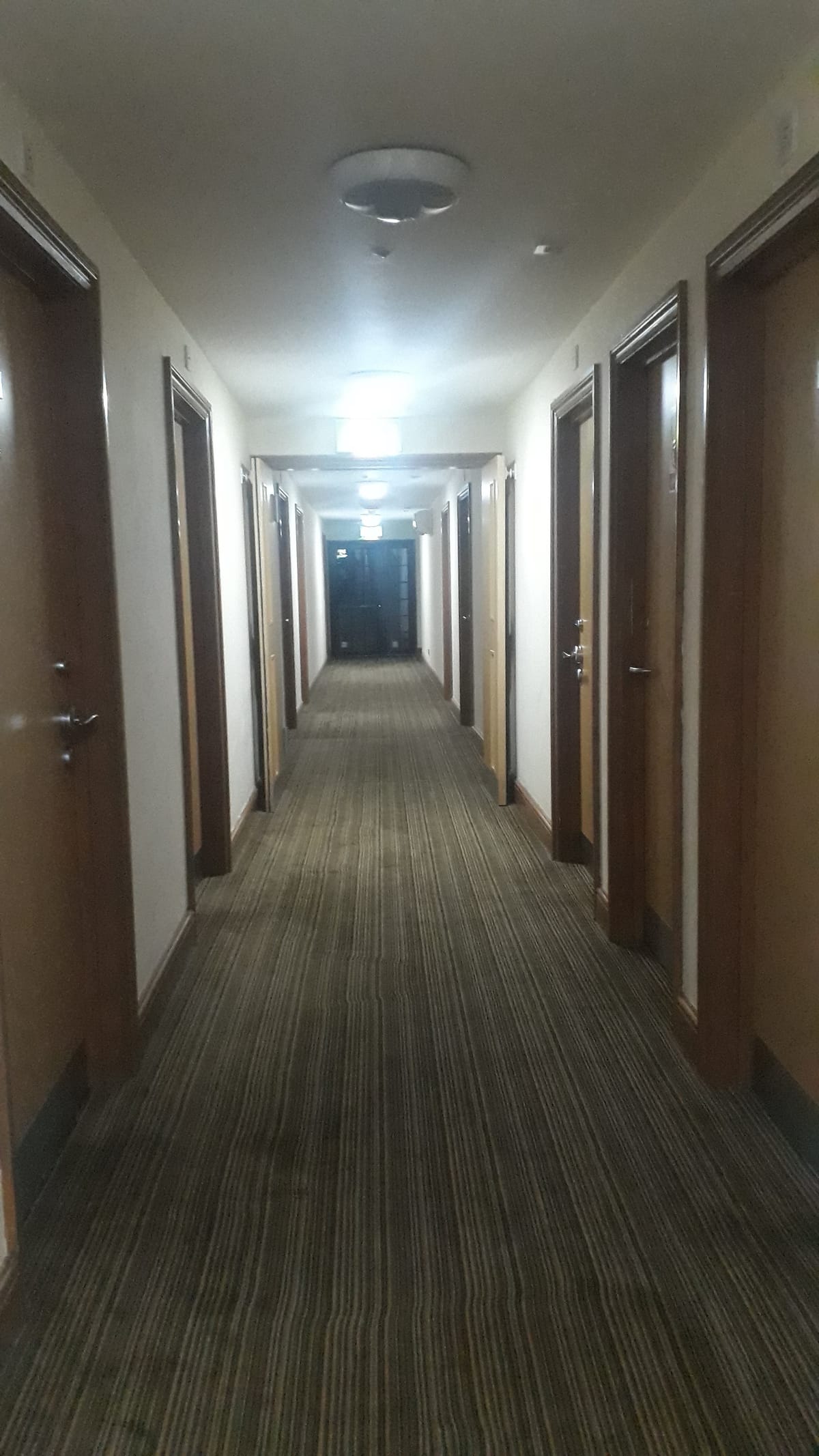 Skylark Hotel — 4