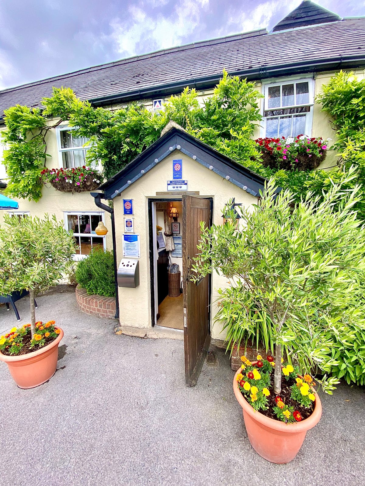 The Cricketers — 5