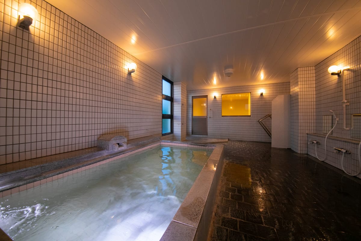 Narita AIC Airport Hotel — 2