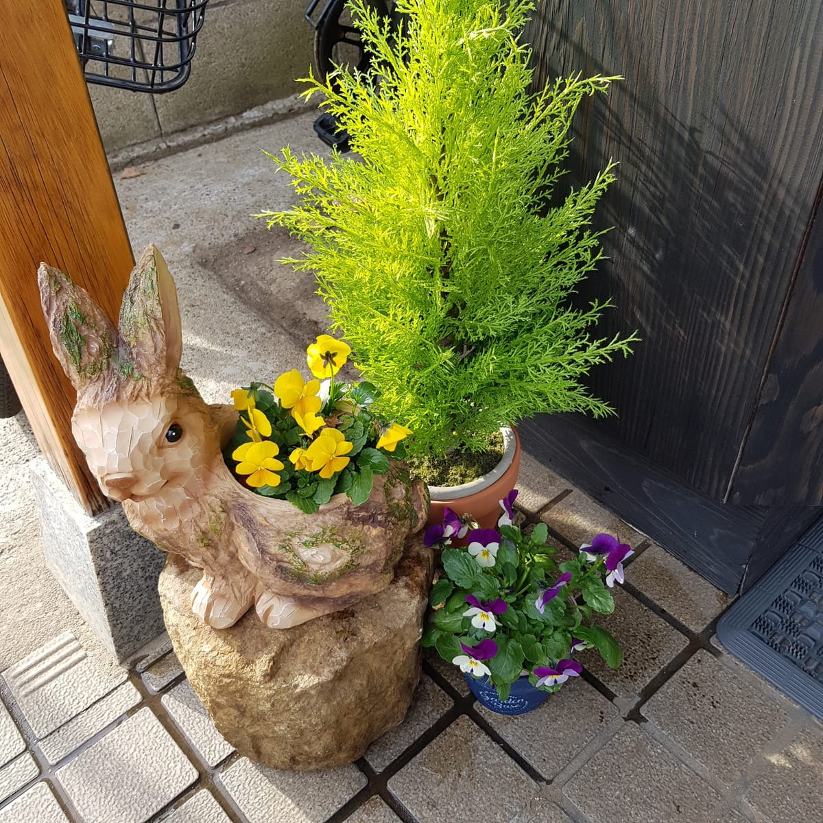 Narita Sando Guesthouse — 3
