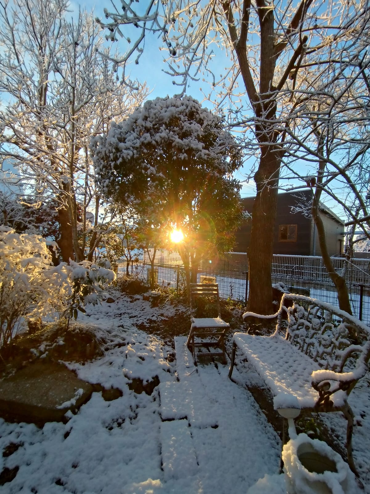 Nemurupa Garden Hostel & Yoga - Narita Airport 15 min(ネムルパホステル&ヨガ) — 3