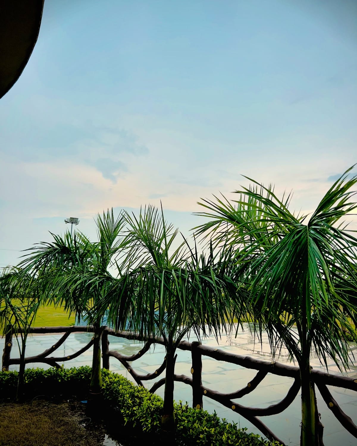 Shree Thakur Ji Hotel & Banquet — 1