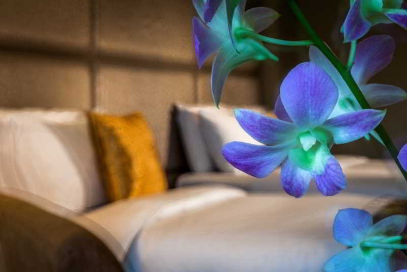 Orchid Country Club — 5