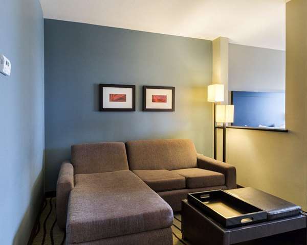 Comfort Suites near Westchase on Beltway 8 — 3