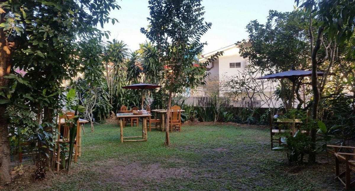 Mango Hill — 4