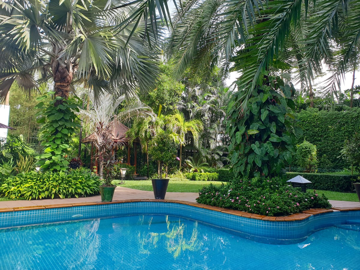 Palm Spring Resort — 3
