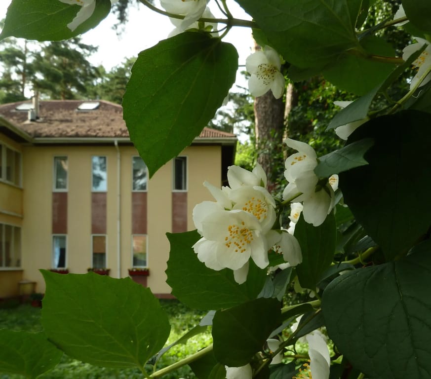 Guest House on Korolyova — 5